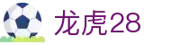 龙虎28 - 龙腾虎跃演绎精彩数字波动